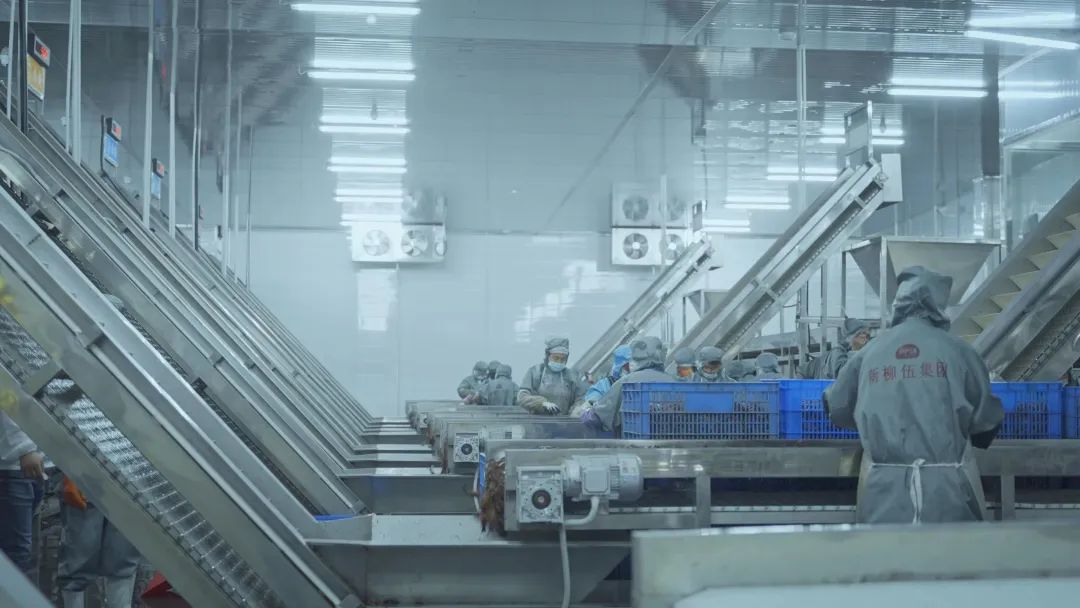 Z6·尊龙凯时「中国区」官方网站